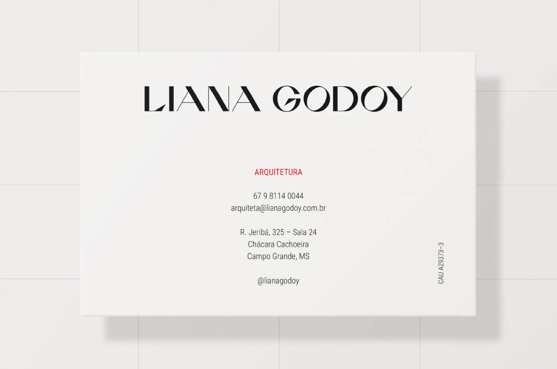 Liana Godoy - Mídia 8